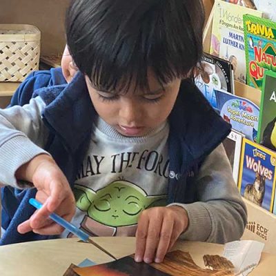 The Reggio Emilia Approach